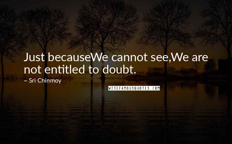 Sri Chinmoy Quotes: Just becauseWe cannot see,We are not entitled to doubt.