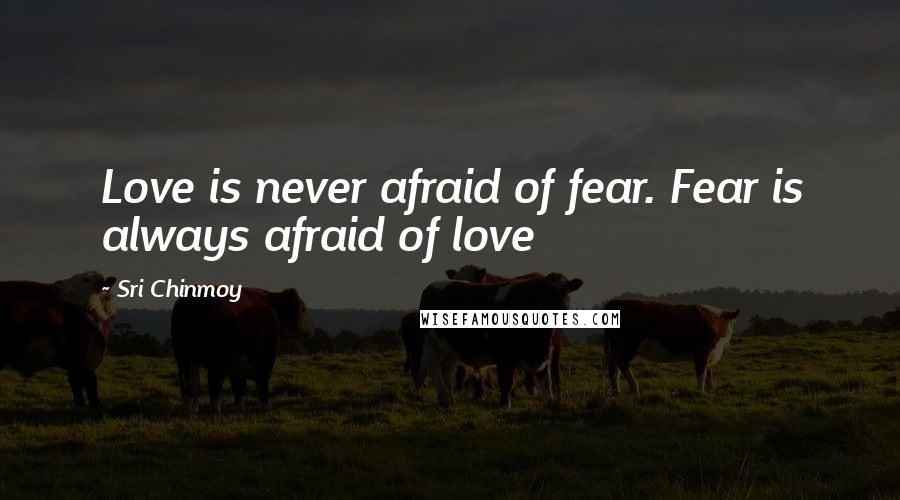Sri Chinmoy Quotes: Love is never afraid of fear. Fear is always afraid of love