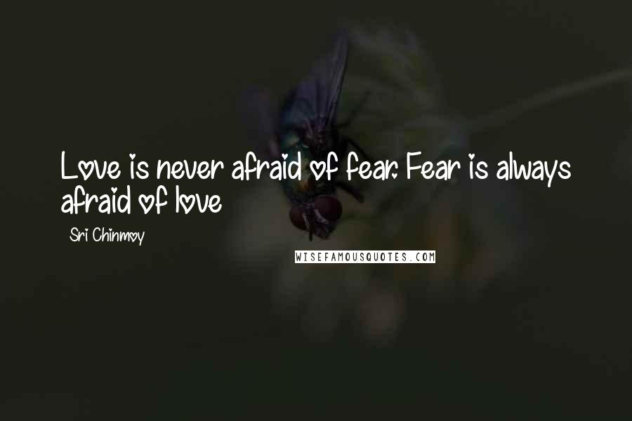 Sri Chinmoy Quotes: Love is never afraid of fear. Fear is always afraid of love