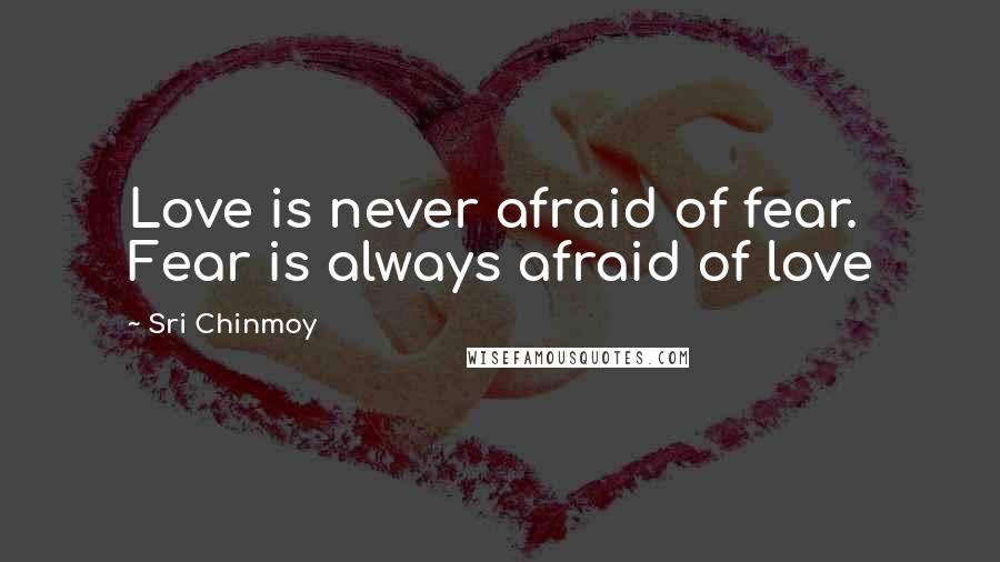 Sri Chinmoy Quotes: Love is never afraid of fear. Fear is always afraid of love