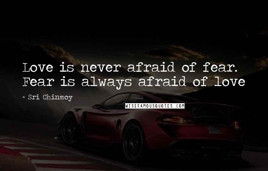 Sri Chinmoy Quotes: Love is never afraid of fear. Fear is always afraid of love