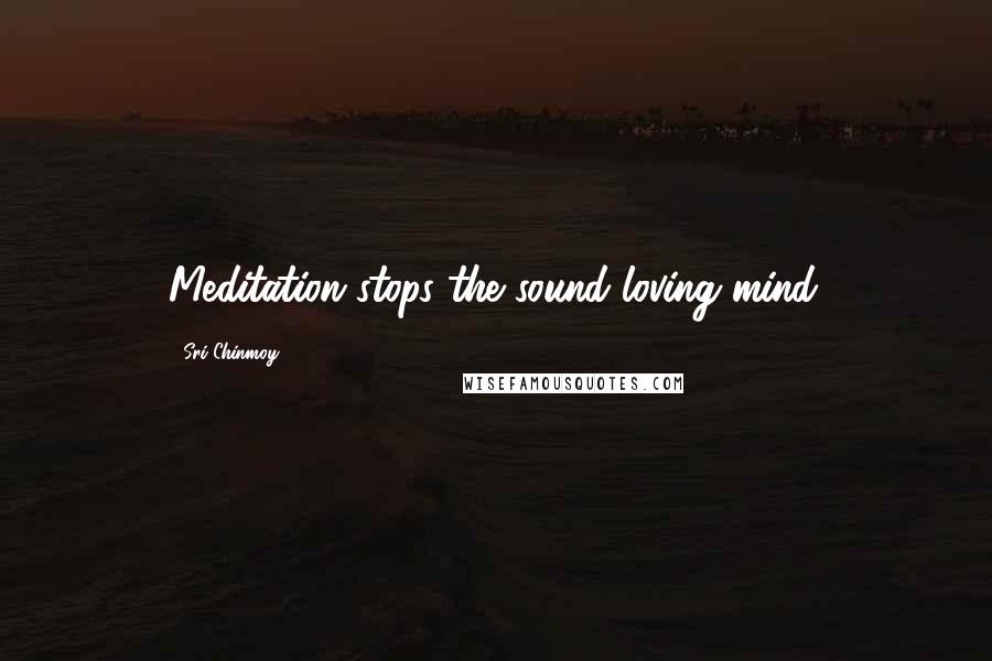 Sri Chinmoy Quotes: Meditation stops the sound-loving mind.