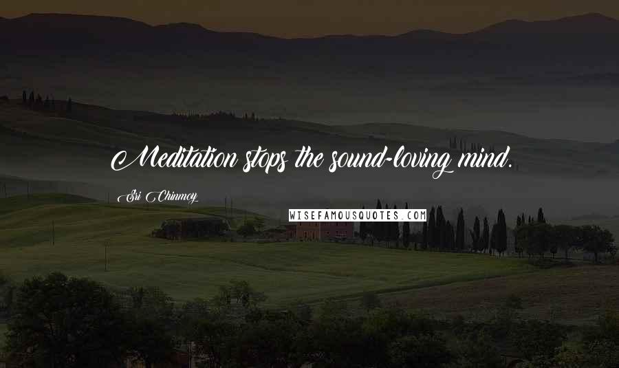 Sri Chinmoy Quotes: Meditation stops the sound-loving mind.