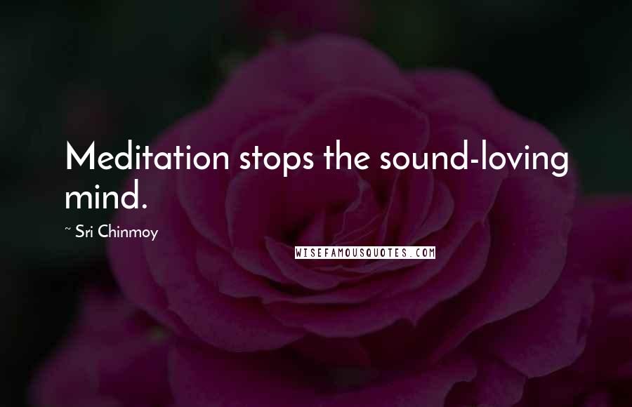 Sri Chinmoy Quotes: Meditation stops the sound-loving mind.