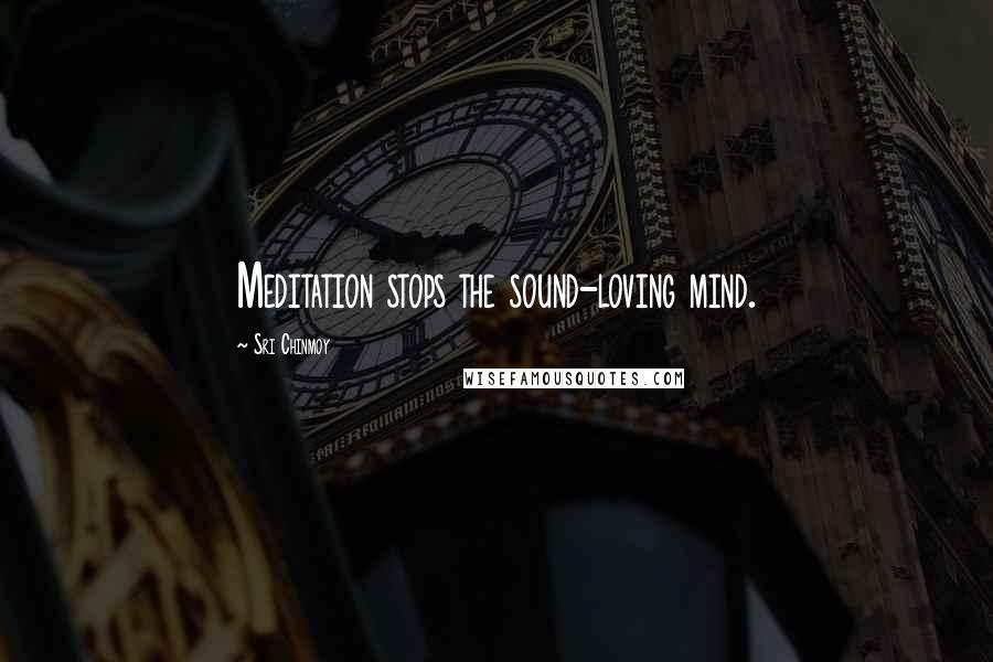 Sri Chinmoy Quotes: Meditation stops the sound-loving mind.