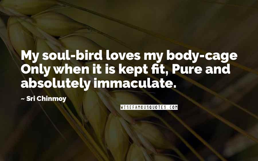 Sri Chinmoy Quotes: My soul-bird loves my body-cage Only when it is kept fit, Pure and absolutely immaculate.