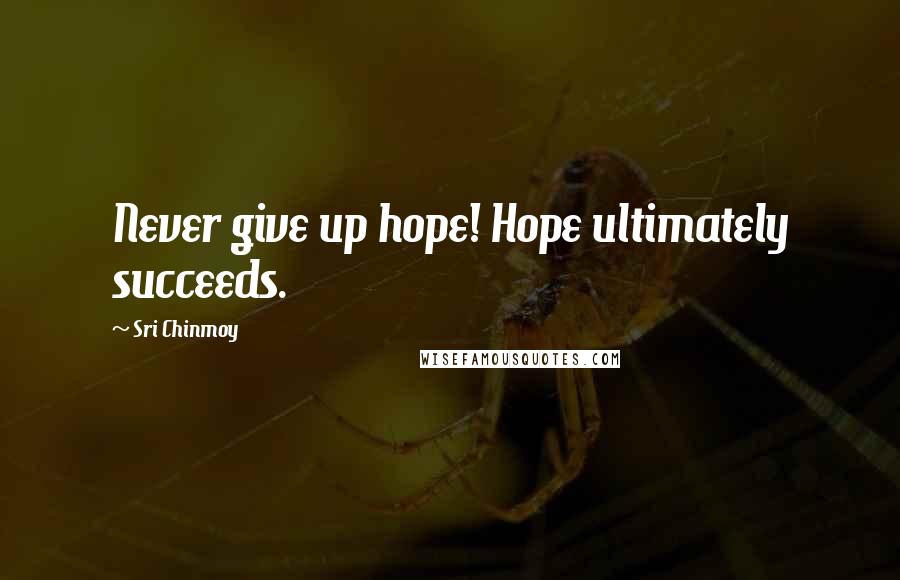 Sri Chinmoy Quotes: Never give up hope! Hope ultimately succeeds.