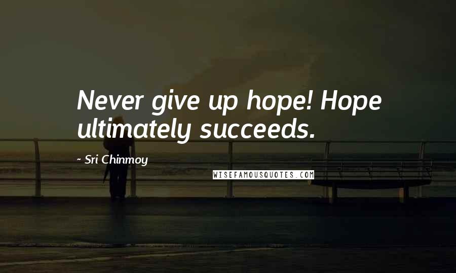 Sri Chinmoy Quotes: Never give up hope! Hope ultimately succeeds.