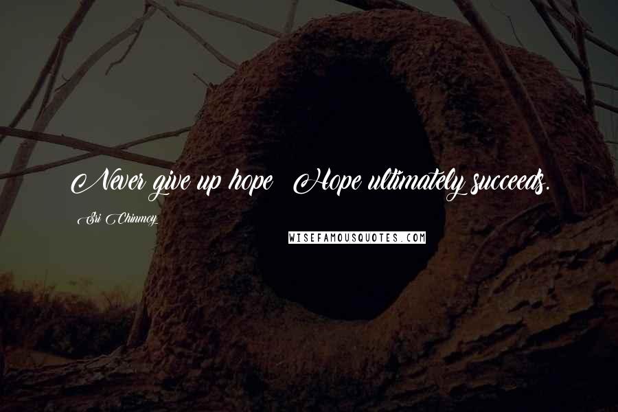 Sri Chinmoy Quotes: Never give up hope! Hope ultimately succeeds.