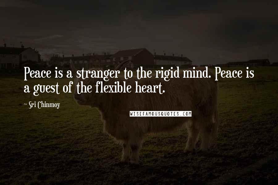 Sri Chinmoy Quotes: Peace is a stranger to the rigid mind. Peace is a guest of the flexible heart.