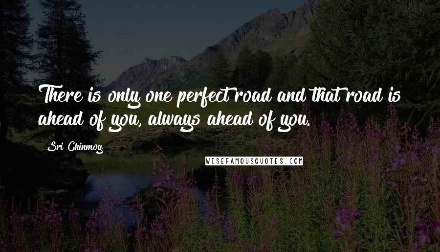 Sri Chinmoy Quotes: There is only one perfect road and that road is ahead of you, always ahead of you.