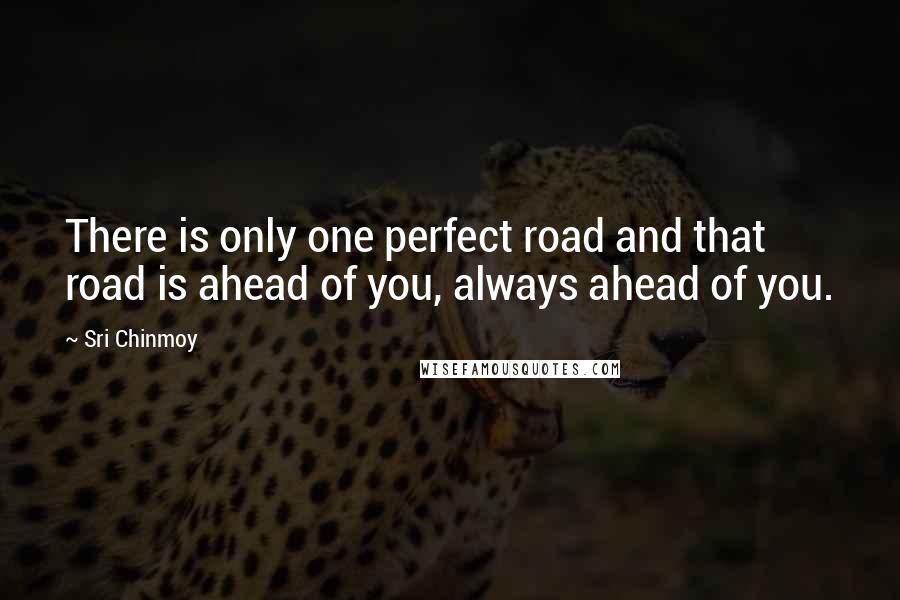 Sri Chinmoy Quotes: There is only one perfect road and that road is ahead of you, always ahead of you.