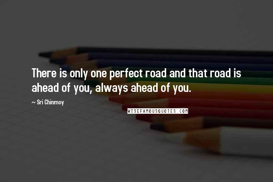 Sri Chinmoy Quotes: There is only one perfect road and that road is ahead of you, always ahead of you.