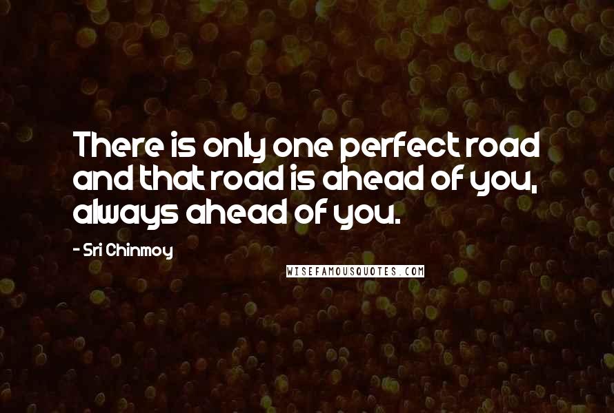 Sri Chinmoy Quotes: There is only one perfect road and that road is ahead of you, always ahead of you.