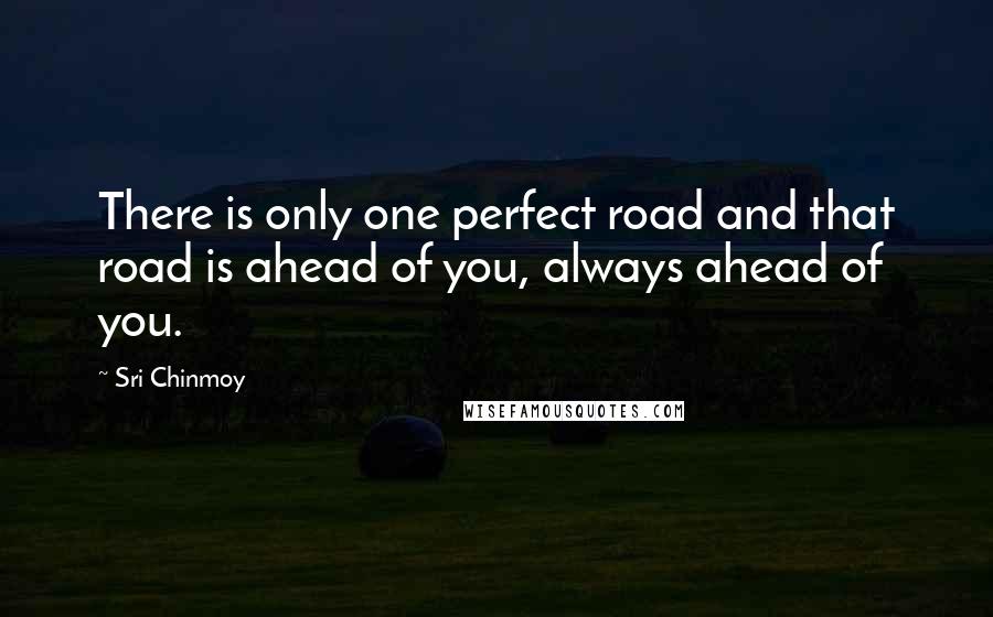 Sri Chinmoy Quotes: There is only one perfect road and that road is ahead of you, always ahead of you.