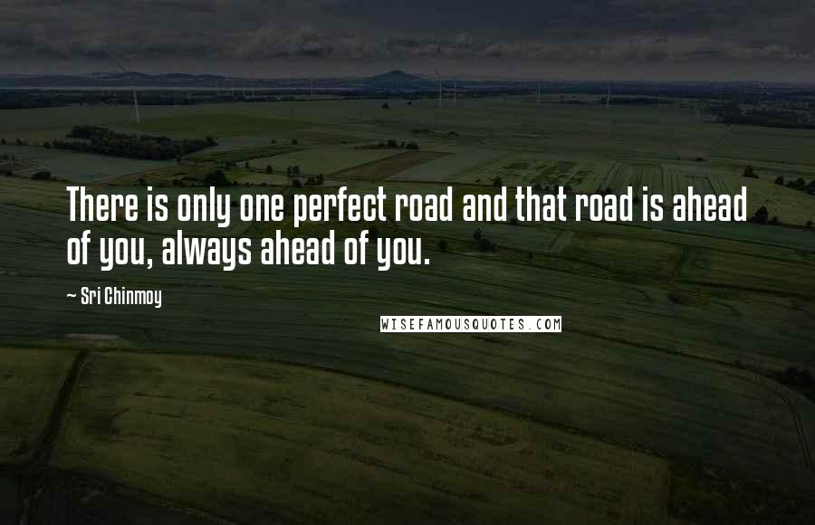 Sri Chinmoy Quotes: There is only one perfect road and that road is ahead of you, always ahead of you.