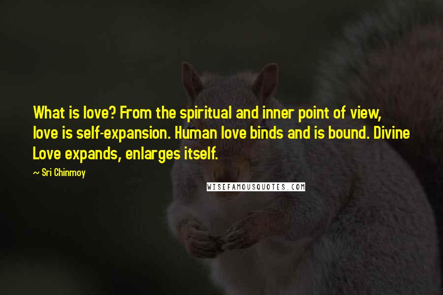 Sri Chinmoy Quotes: What is love? From the spiritual and inner point of view, love is self-expansion. Human love binds and is bound. Divine Love expands, enlarges itself.