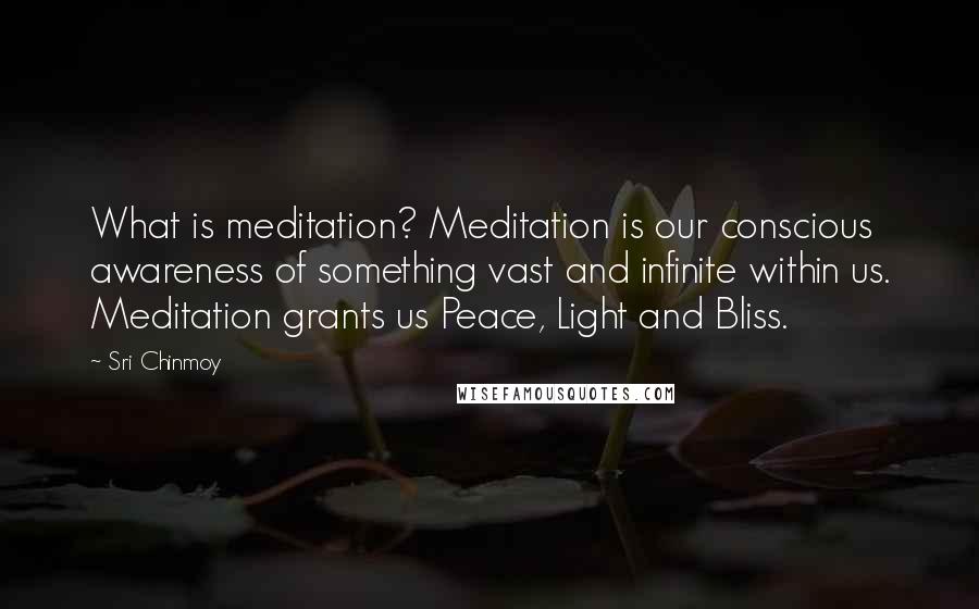 Sri Chinmoy Quotes: What is meditation? Meditation is our conscious awareness of something vast and infinite within us. Meditation grants us Peace, Light and Bliss.