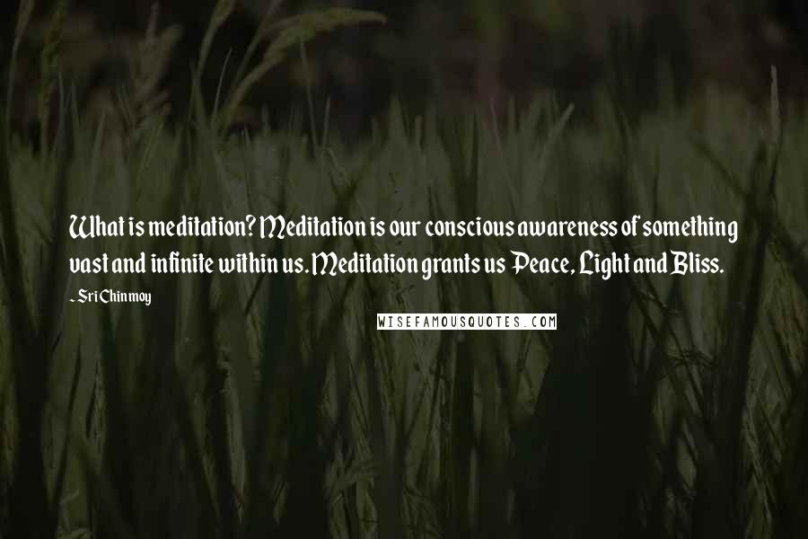 Sri Chinmoy Quotes: What is meditation? Meditation is our conscious awareness of something vast and infinite within us. Meditation grants us Peace, Light and Bliss.