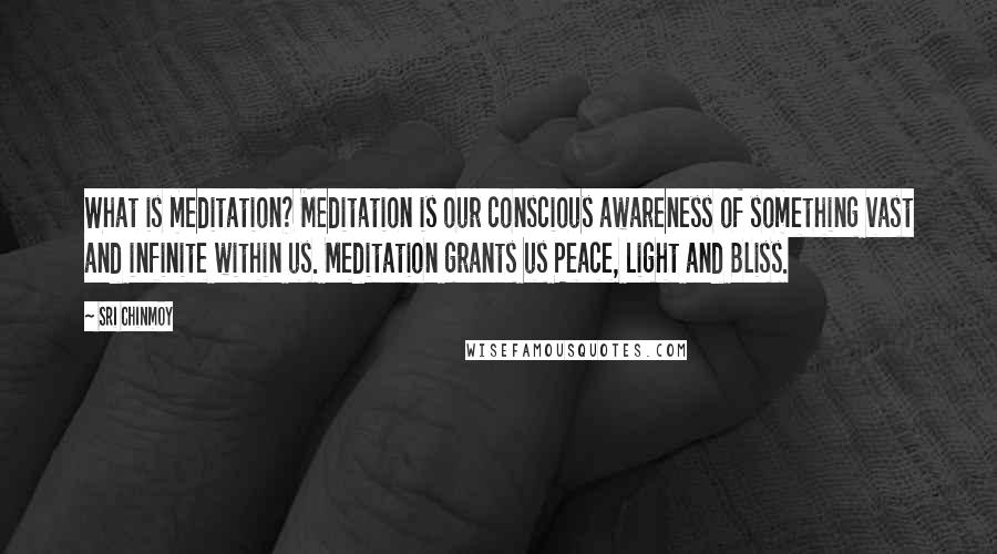 Sri Chinmoy Quotes: What is meditation? Meditation is our conscious awareness of something vast and infinite within us. Meditation grants us Peace, Light and Bliss.