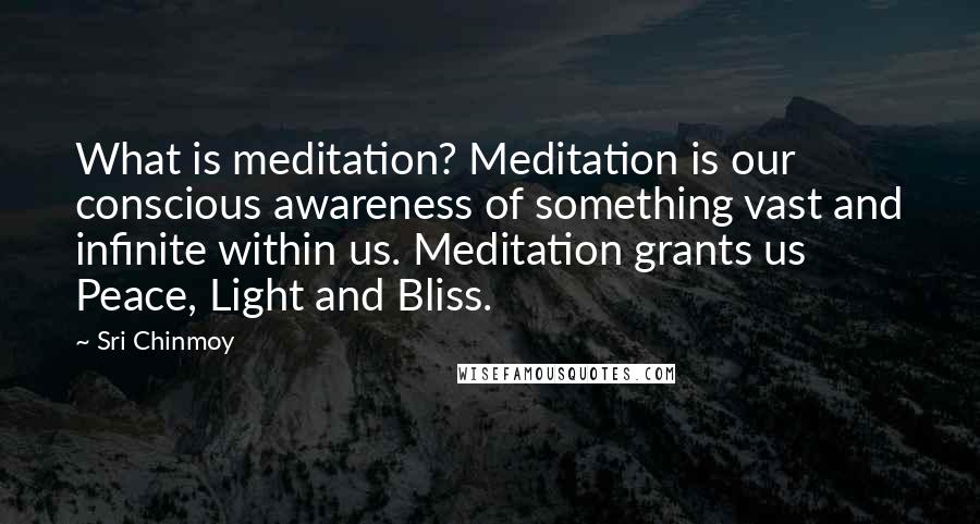 Sri Chinmoy Quotes: What is meditation? Meditation is our conscious awareness of something vast and infinite within us. Meditation grants us Peace, Light and Bliss.