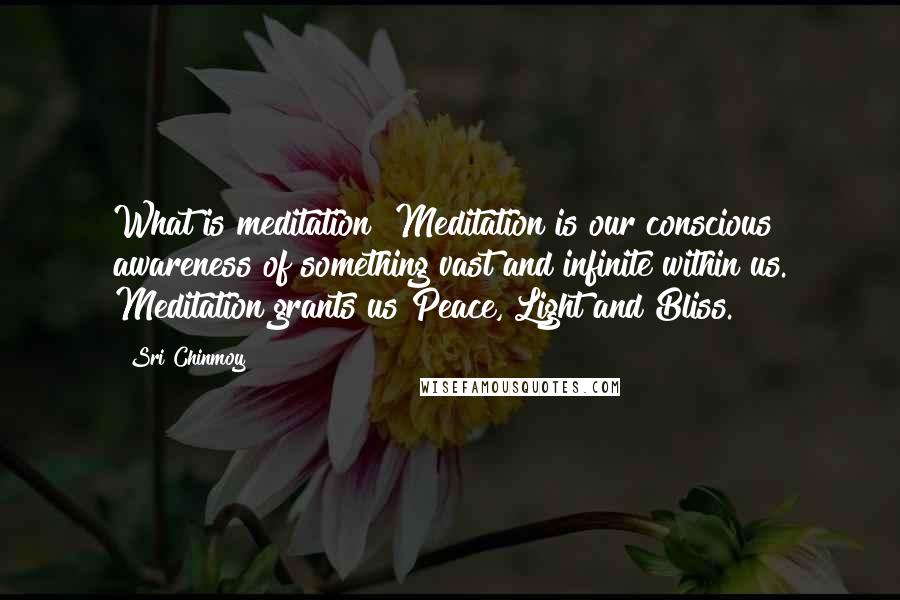 Sri Chinmoy Quotes: What is meditation? Meditation is our conscious awareness of something vast and infinite within us. Meditation grants us Peace, Light and Bliss.