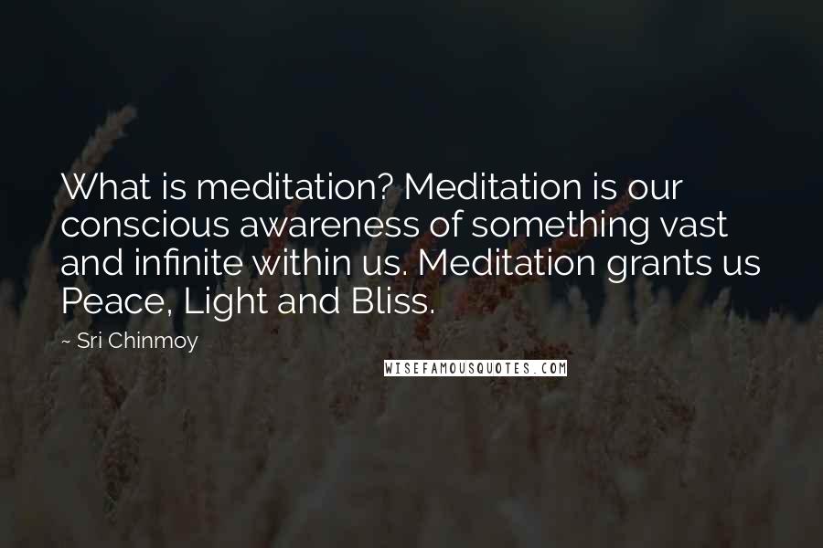 Sri Chinmoy Quotes: What is meditation? Meditation is our conscious awareness of something vast and infinite within us. Meditation grants us Peace, Light and Bliss.