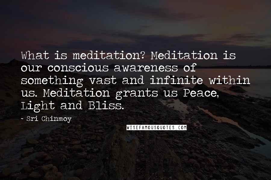 Sri Chinmoy Quotes: What is meditation? Meditation is our conscious awareness of something vast and infinite within us. Meditation grants us Peace, Light and Bliss.