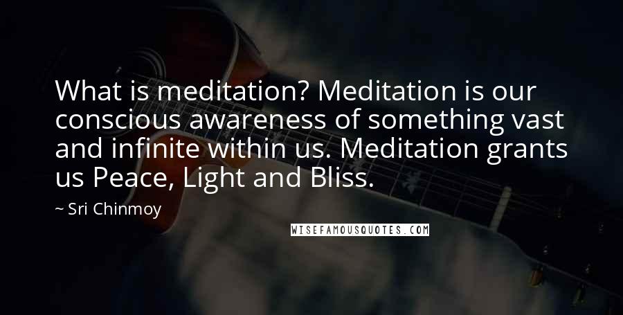 Sri Chinmoy Quotes: What is meditation? Meditation is our conscious awareness of something vast and infinite within us. Meditation grants us Peace, Light and Bliss.