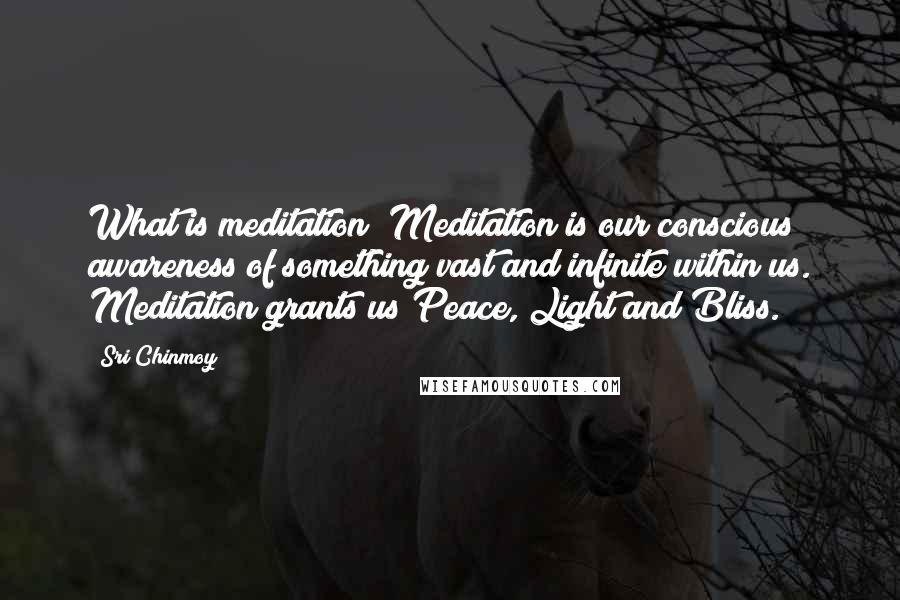 Sri Chinmoy Quotes: What is meditation? Meditation is our conscious awareness of something vast and infinite within us. Meditation grants us Peace, Light and Bliss.