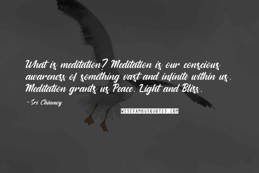 Sri Chinmoy Quotes: What is meditation? Meditation is our conscious awareness of something vast and infinite within us. Meditation grants us Peace, Light and Bliss.