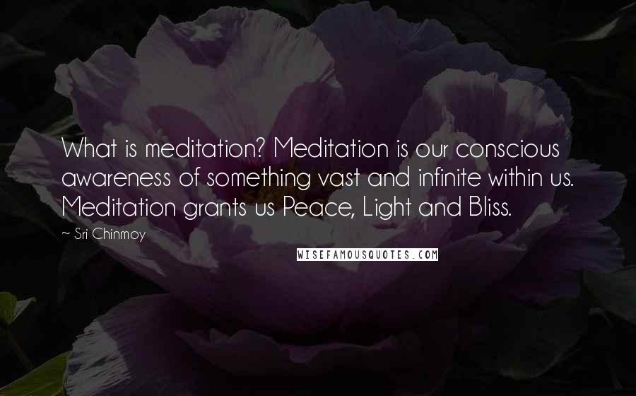 Sri Chinmoy Quotes: What is meditation? Meditation is our conscious awareness of something vast and infinite within us. Meditation grants us Peace, Light and Bliss.