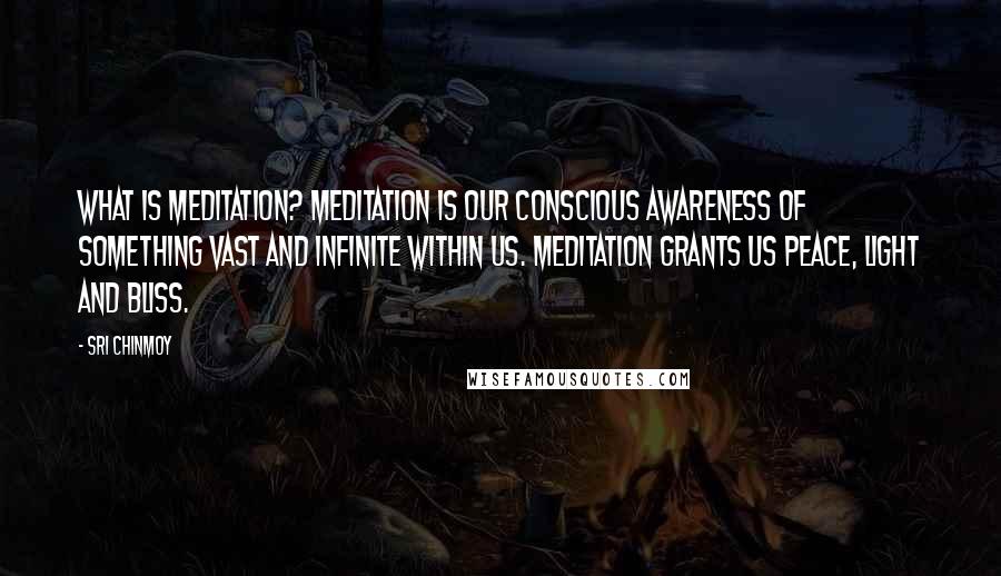 Sri Chinmoy Quotes: What is meditation? Meditation is our conscious awareness of something vast and infinite within us. Meditation grants us Peace, Light and Bliss.