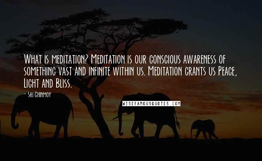 Sri Chinmoy Quotes: What is meditation? Meditation is our conscious awareness of something vast and infinite within us. Meditation grants us Peace, Light and Bliss.