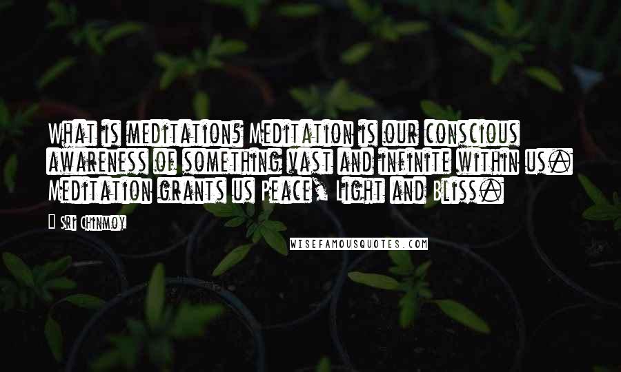 Sri Chinmoy Quotes: What is meditation? Meditation is our conscious awareness of something vast and infinite within us. Meditation grants us Peace, Light and Bliss.