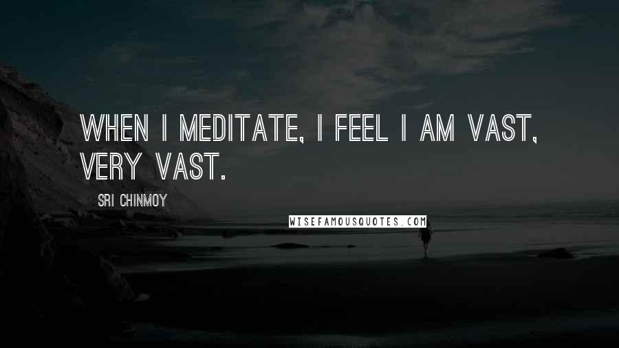 Sri Chinmoy Quotes: When I meditate, I feel I am vast, very vast.