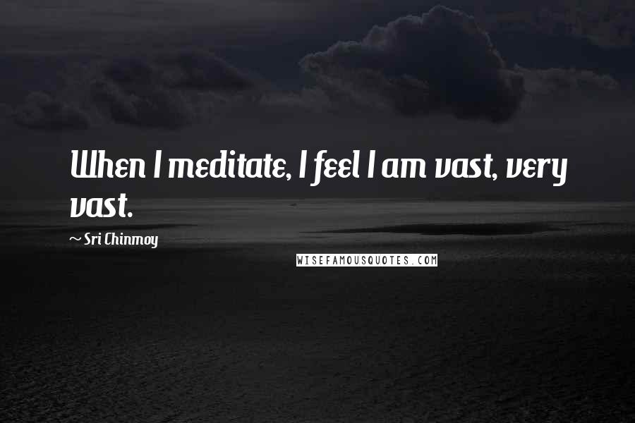 Sri Chinmoy Quotes: When I meditate, I feel I am vast, very vast.