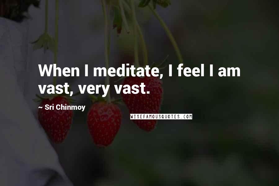 Sri Chinmoy Quotes: When I meditate, I feel I am vast, very vast.