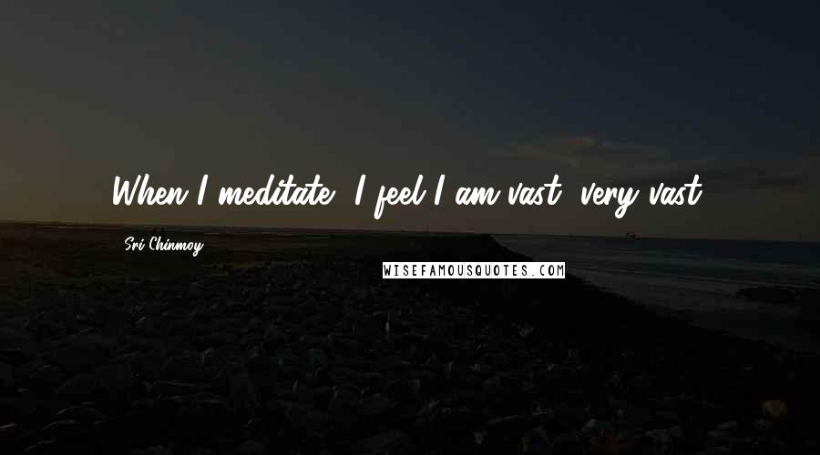 Sri Chinmoy Quotes: When I meditate, I feel I am vast, very vast.