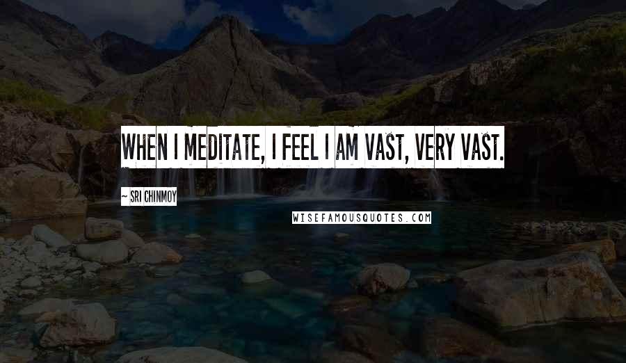 Sri Chinmoy Quotes: When I meditate, I feel I am vast, very vast.