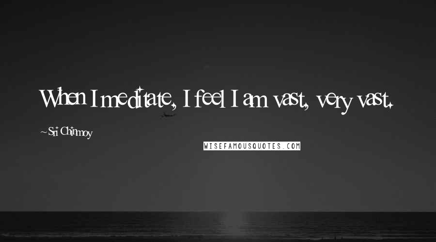 Sri Chinmoy Quotes: When I meditate, I feel I am vast, very vast.