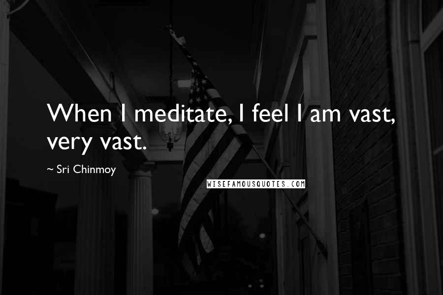 Sri Chinmoy Quotes: When I meditate, I feel I am vast, very vast.