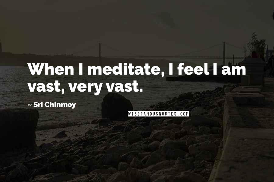 Sri Chinmoy Quotes: When I meditate, I feel I am vast, very vast.