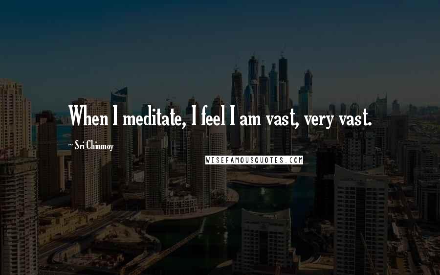 Sri Chinmoy Quotes: When I meditate, I feel I am vast, very vast.