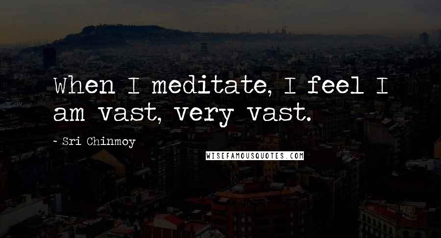 Sri Chinmoy Quotes: When I meditate, I feel I am vast, very vast.