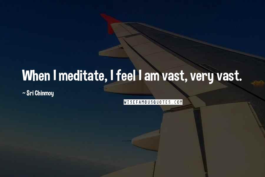 Sri Chinmoy Quotes: When I meditate, I feel I am vast, very vast.