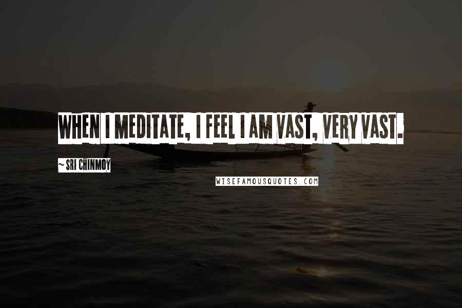 Sri Chinmoy Quotes: When I meditate, I feel I am vast, very vast.