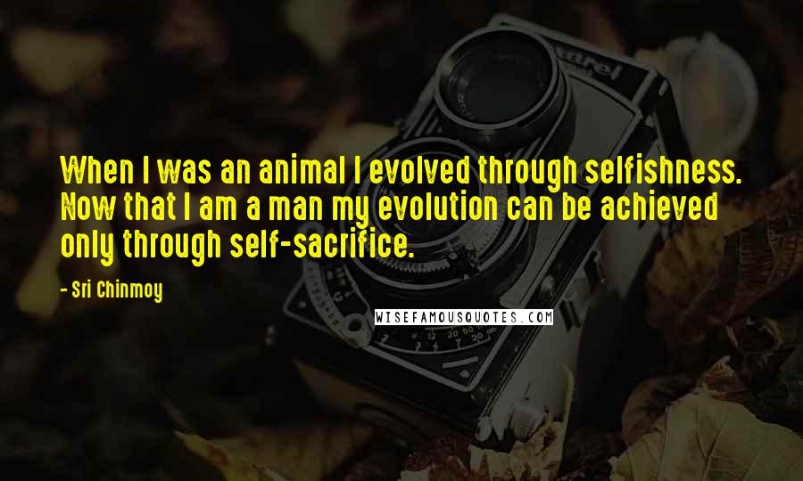 Sri Chinmoy Quotes: When I was an animal I evolved through selfishness. Now that I am a man my evolution can be achieved only through self-sacrifice.