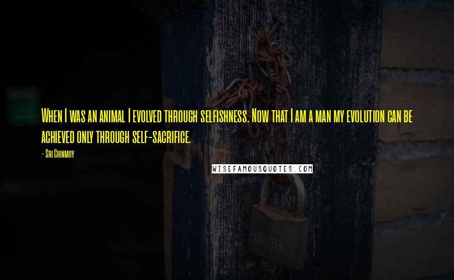 Sri Chinmoy Quotes: When I was an animal I evolved through selfishness. Now that I am a man my evolution can be achieved only through self-sacrifice.