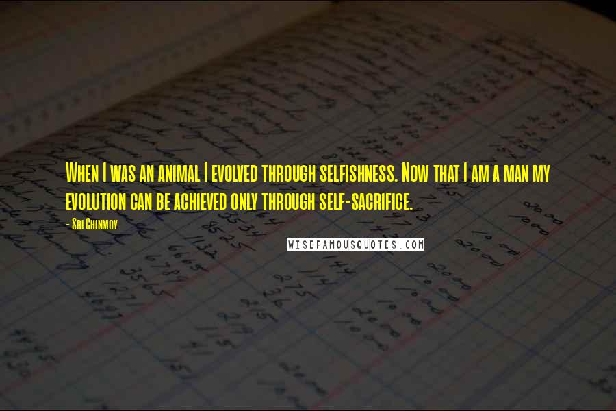 Sri Chinmoy Quotes: When I was an animal I evolved through selfishness. Now that I am a man my evolution can be achieved only through self-sacrifice.
